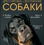 Андрей Шкляев, Дрессировка и воспитание собаки