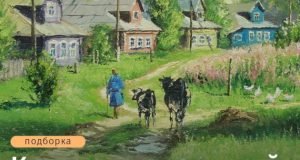 Выйду ночью в поле с конем: книги о деревенской жизни