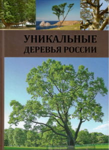 Уникальные деревья России