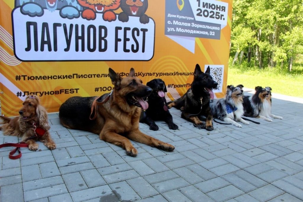 Лагунов FEST: яркий праздник литературы и творчества в селе Малая Зоркальцева